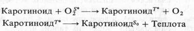 Роль каротиноидов в окрашивании плодов и листьев