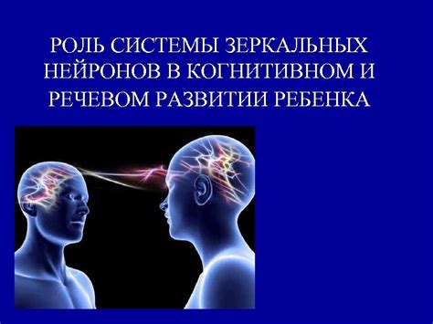 Роль количества нейронов в эффективности работы