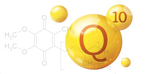 Роль коэнзима Q10 в организме и его функции