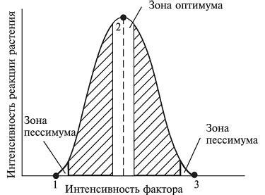 Роль лимитирующего фактора в пределе выносливости