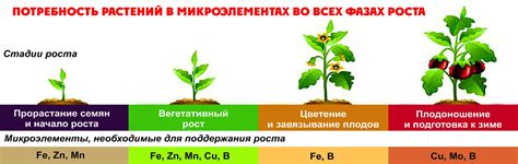 Роль микроэлементов в подкормке яблони в июне