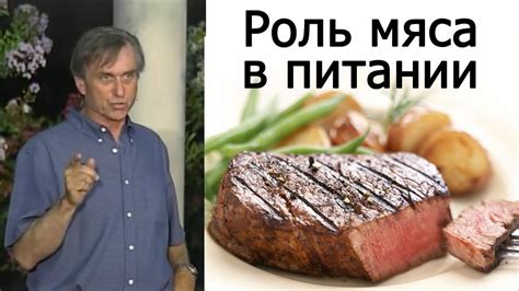 Роль мяса в питании