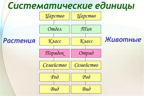 Роль названия вида в классификации биологических таксонов