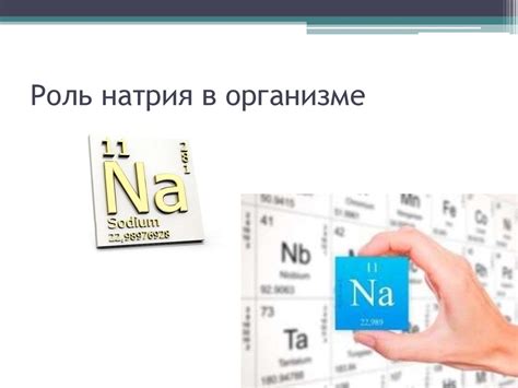 Роль натрия сахарината в диете диабетиков