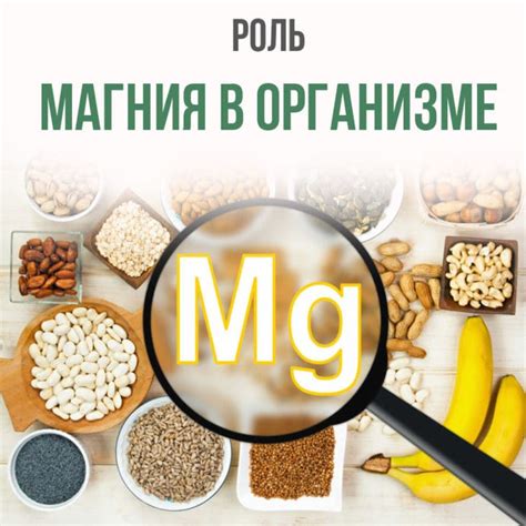 Роль органического магния в организме