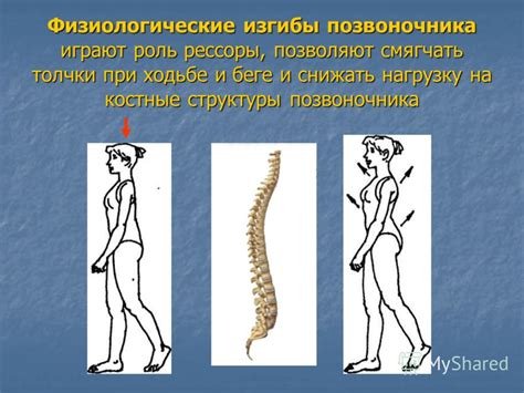 Роль питания при перекосе позвоночника вправо