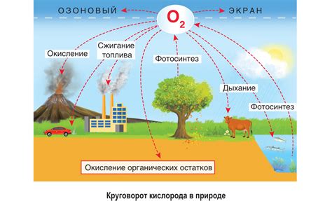 Роль погодных явлений 2 класса в экосистеме