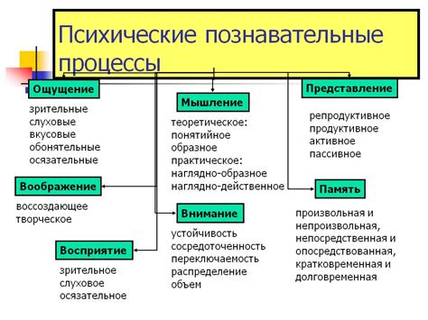 Роль подкоркового образования в регуляции поведения