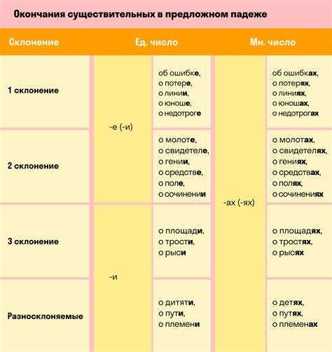 Роль предложного падежа в русском языке