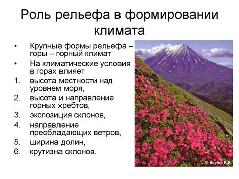 Роль природы и климата в формировании нордического характера