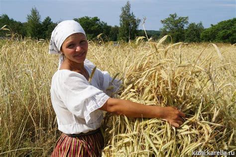 Роль пшеницы в истории человечества