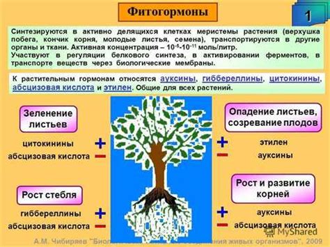 Роль сажи из печки в росте растений