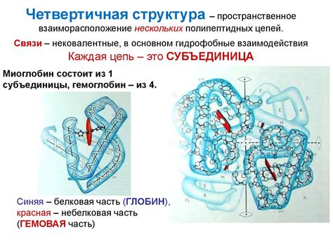 Роль свободных аминокислот в роговом слое