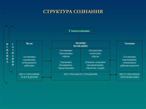 Роль сознания в деятельности