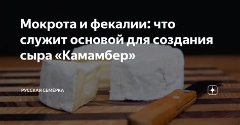 Роль соли в процессе создания сыра