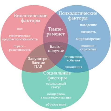 Роль социального окружения в формировании личности