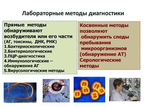 Роль токсической зернистости в диагностике инфекционных заболеваний