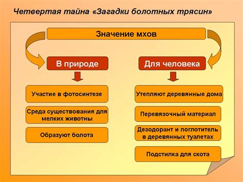 Роль хлорофилла в дыхании мхов