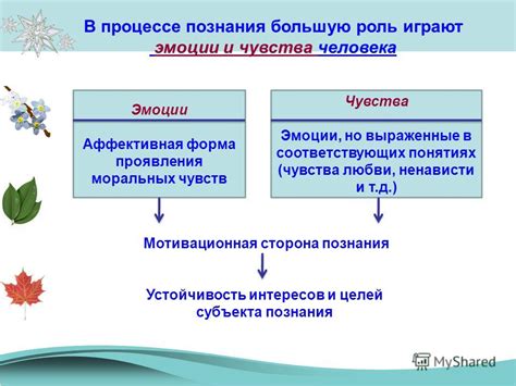 Роль человека в процессе познания