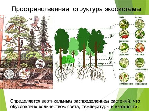 Роль экологической ситуации в географии