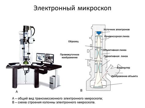 Роль электронного микроскопа