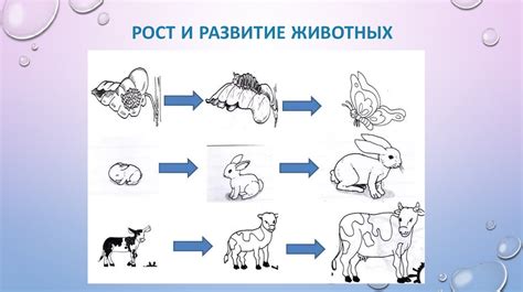 Рост и развитие на основе качества