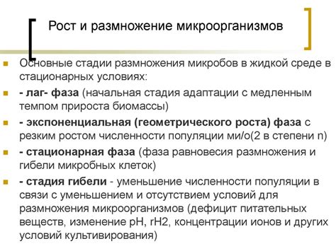 Рост и размножение микроорганизмов