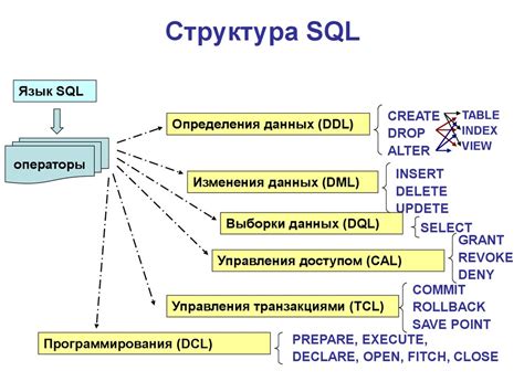 СУБД и язык SQL: основные команды и запросы