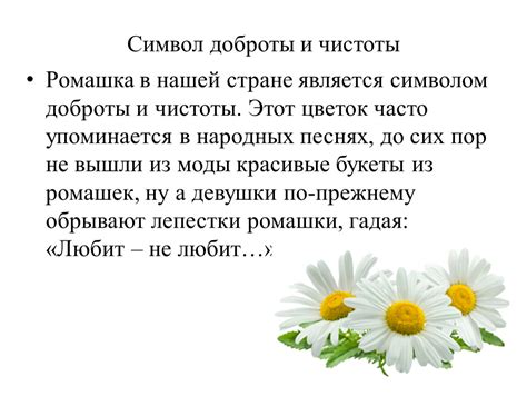 Савельич как символ русской простоты и доброты