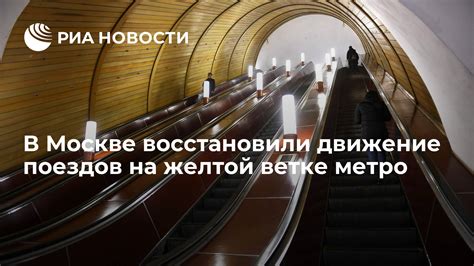 Самые свежие новости с желтой ветки метро