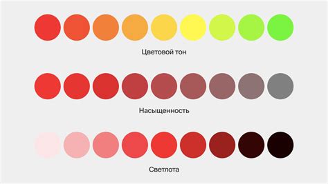 Светлота цвета: понятие и особенности