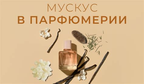 Светские дамы и мускусный аромат