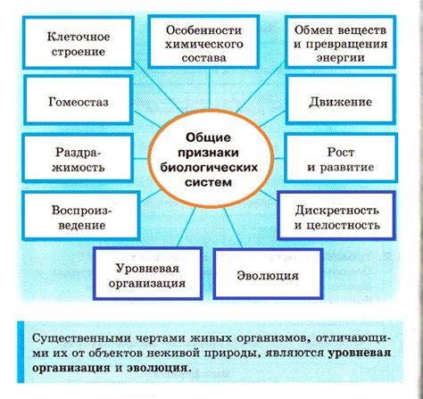 Свойства и признаки: основные отличия