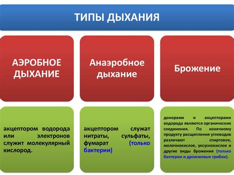 Свойства микроорганизмов и их адаптация