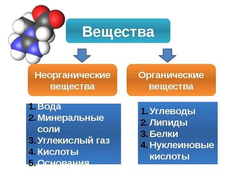 Связь между неорганическими и органическими веществами