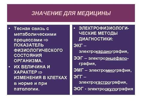 Связь эпифиза с метаболическими процессами