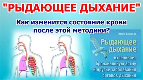 Секция 1: Натуральные способы облегчить дыхание