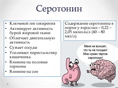 Серотонин и эндорфины в организме