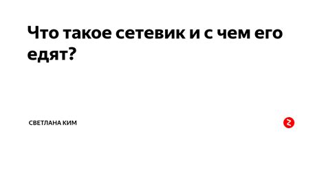 Сетевик и его роль в современном мире