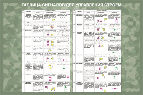 Сигналы и команды для управления поведением