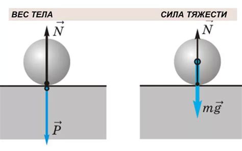 Сила тяжести и ее влияние на вес