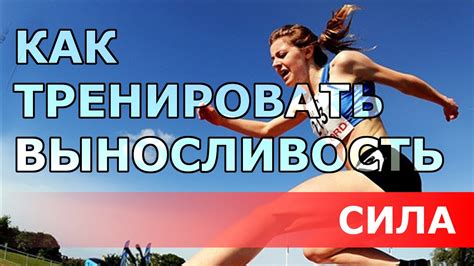 Силовые тренировки для увеличения выносливости