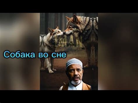 Символы и значимость