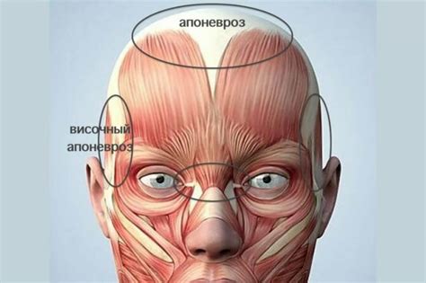 Симптомы поражения апоневроза головы