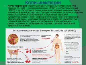 Симптомы Escherichia coli 10 6 в моче