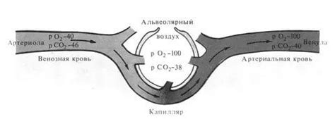 Синдром дыхательного дистресса: что это?