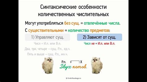 Синтаксические особенности и их влияние на порядок слов