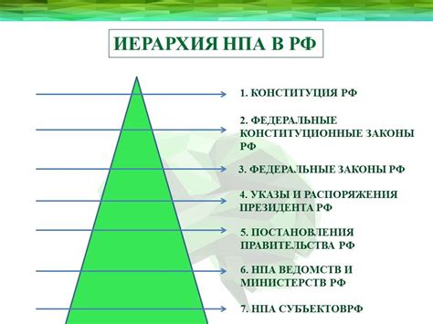 Система законодательства по лесам