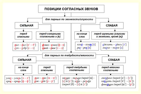 Слабая позиция согласных: определение и примеры