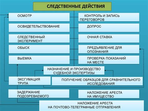 Следственные действия: свидетели и улики